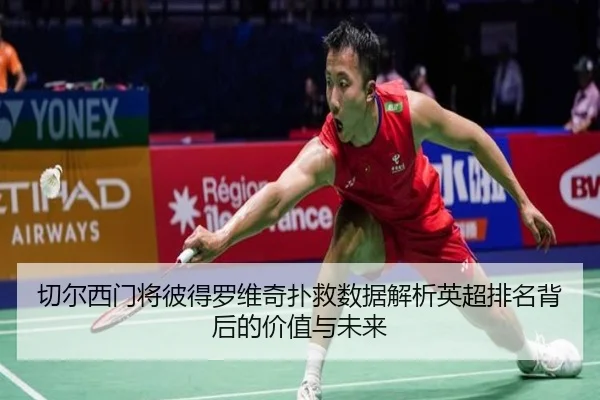 切尔西门将彼得罗维奇扑救数据解析英超排名背后的价值与未来